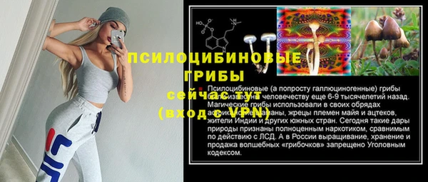 соль ск Богородицк